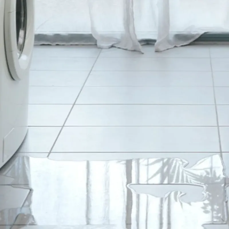 Appliance Leak Cleanup in Seffner, FL