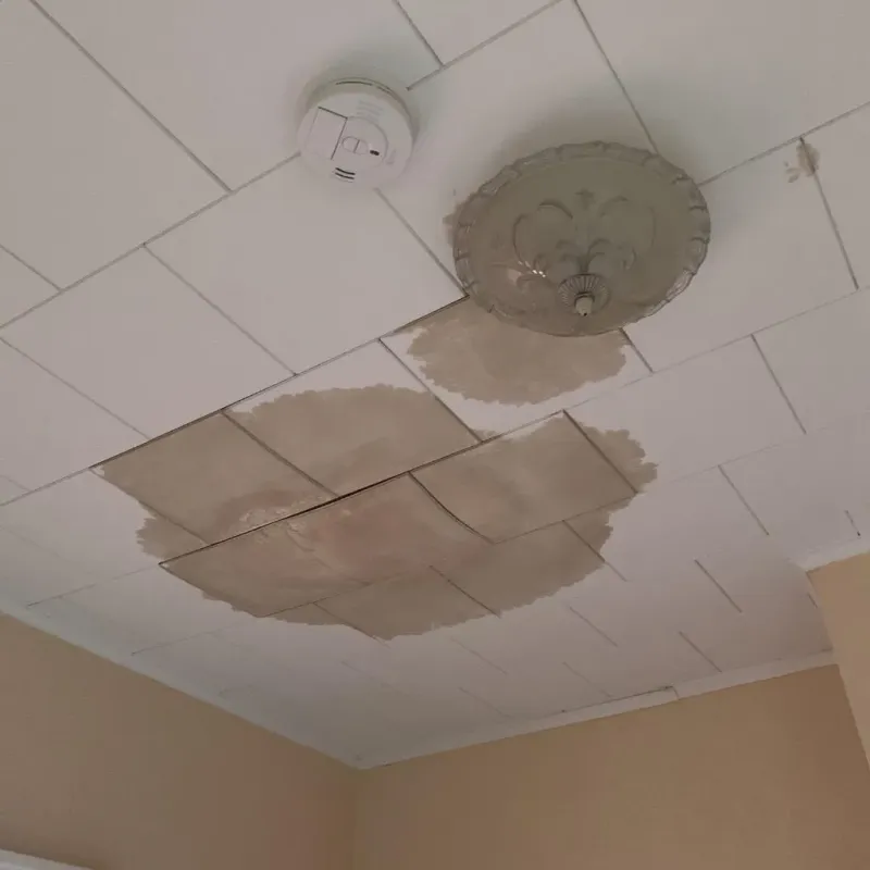 Ceiling Water Damage Repair in Seffner, FL